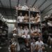 Inside El Salvador’s Mega-Prison: What You Need to Know About Its Controversial Role in Deportations