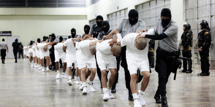 Venezuelan Deported from the U.S. Under Controversial Gang ‘Points System’, Lawyers Reveal