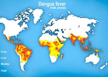 Discover the Regions Most Vulnerable to Dengue Fever Outbreaks