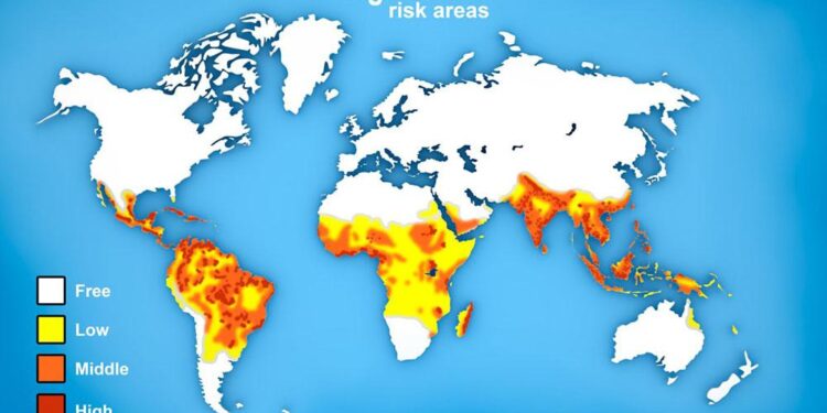 Discover the Regions Most Vulnerable to Dengue Fever Outbreaks