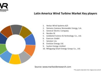Meet the Visionary Leaders Behind Central America Energy Holdings Corp