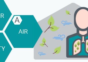 Only Seven Countries Meet WHO Air Quality Standards—Why the U.S. Falls Short
