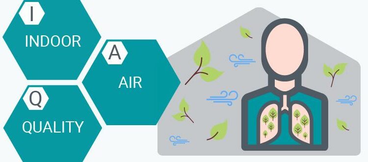 Only Seven Countries Meet WHO Air Quality Standards—Why the U.S. Falls Short