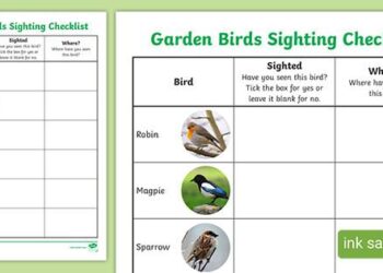 Ultimate Birdwatcher’s Guide: Discover the Avian Treasures of Aruba, Curaçao, and Bonaire!