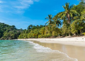 Discover the World’s Most Relaxing Beach: A Hidden Gem with Crystal-Clear Turquoise Waters!