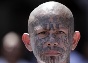 Unraveling the Mysteries of MS13: Inside the Notorious Gang’s Rise and Influence