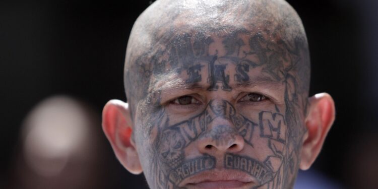 Unraveling the Mysteries of MS13: Inside the Notorious Gang’s Rise and Influence