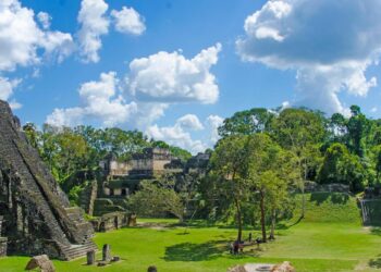 Guatemala Welcomes Trump’s Central American Deportees: A New Chapter in Immigration Policy