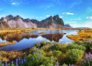 Exploring the Island Where France’s Colonial Legacy Endures