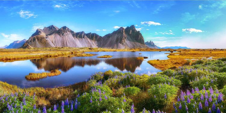 Exploring the Island Where France’s Colonial Legacy Endures