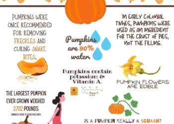 Uncovering the Fascinating World of Pumpkins: Insights and Surprising Stats!