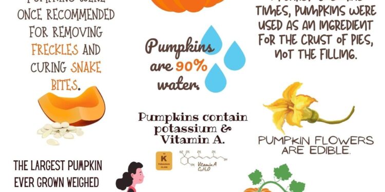 Uncovering the Fascinating World of Pumpkins: Insights and Surprising Stats!