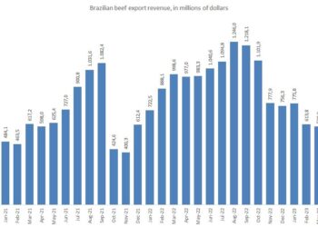 Brazil’s Beef Exports to the US Surge in April Despite New Tariffs, Says Industry Lobby
