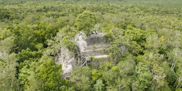 Conquer the Guatemalan Jungle: A Five-Day Trek That Will Leave You Breathless!