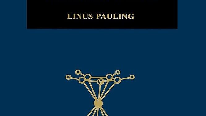 Transforming Conservation: Exciting New Nature Bonds Project Launches in The Bahamas!