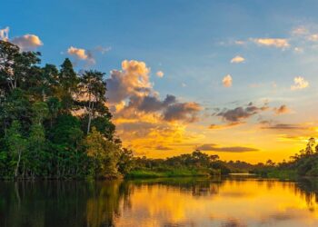 Suriname Aims for World Cup Glory by Embracing Dutch-Born Talent!