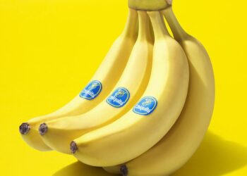 Chiquita’s Dark Legacy: Holding the Company Accountable for Its Actions in Latin America