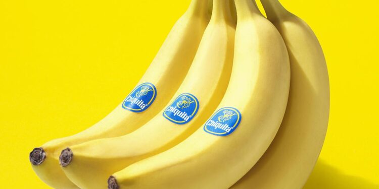 Chiquita’s Dark Legacy: Holding the Company Accountable for Its Actions in Latin America