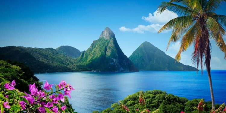 Saint Lucia Sets Its Sights on the Thriving Latin American Market!