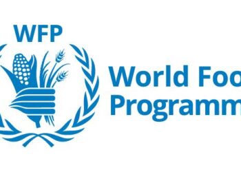 Essential Insights: WFP’s Impact in the Dominican Republic – May 2025