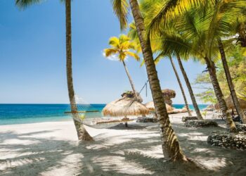 Chastanet Urges Enhanced U.S.-Caribbean Relations for a Brighter Future