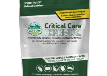 Transforming Healthcare and Strengthening Alliances: LAMAT 25’s Impact on Critical Care in St. Kitts and Nevis