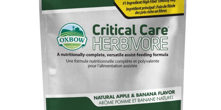 Transforming Healthcare and Strengthening Alliances: LAMAT 25’s Impact on Critical Care in St. Kitts and Nevis