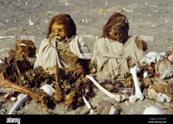 12-Year Search Ends: Human Remains Found in Aruba Linked to Missing American Student