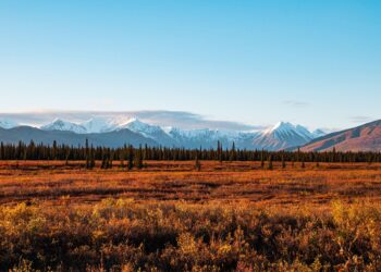 Bordering Canada: How US Tariffs Impact Communities from Alaska to Maine