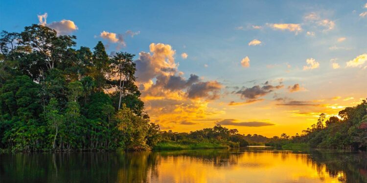 Suriname’s Ramdin Set to Lead as the Next Secretary-General of the OAS!