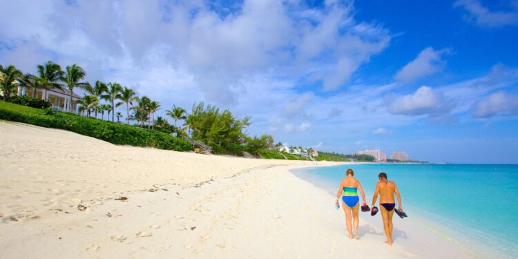 Catch the Action: How to Watch Bahamas vs. Bermuda in the North American T20 Cup 2025!