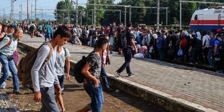 Ecuador’s New Migration Policy: What It Means for Venezuelan Immigrants