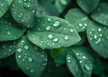 Travel Turbulence: United and Delta Slash Routes, Impacting Flights to Toronto, Montreal, Ottawa, and Vancouver