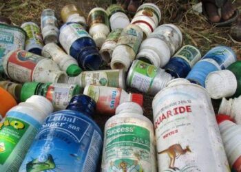 Unveiling the Shadows: The Haunting Legacy of a Banned Pesticide in the French Caribbean