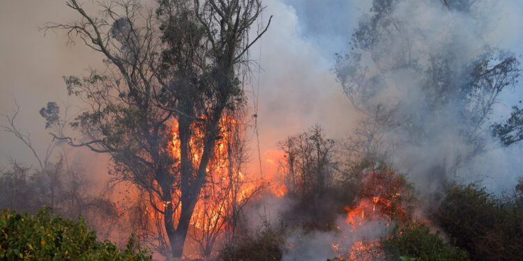 Ecuador Faces Fiery Struggles: Wildfires Rage Near Capital Amidst South America’s Drought Crisis