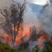 Ecuador Faces Fiery Struggles: Wildfires Rage Near Capital Amidst South America’s Drought Crisis