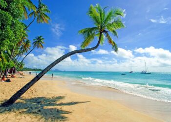 Unveiling the Shadows: Martinique’s Bold Reclamation of Colonial History