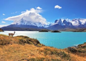 Chile Pioneers Environmental Action in Latin America with Bold 2050 Goals!