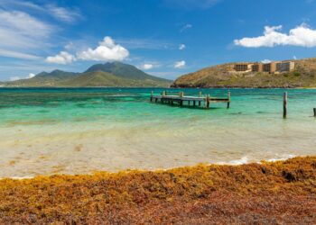 Saint Kitts Unveils Exciting CBI Residency Update as Dominica Responds to US Travel Ban