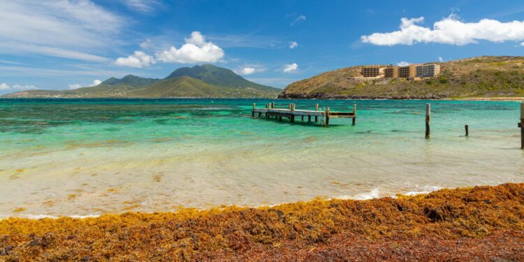 Saint Kitts Unveils Exciting CBI Residency Update as Dominica Responds to US Travel Ban