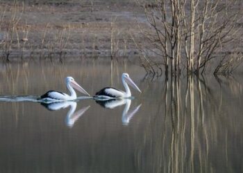 Travel Disruption: Major Airlines Cut Routes to Canada as Travelers Flock to Europe, the Caribbean, and Domestic Favorites!