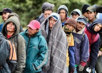 Unveiling the Reality: Insights into Unauthorized Immigrants in the U.S