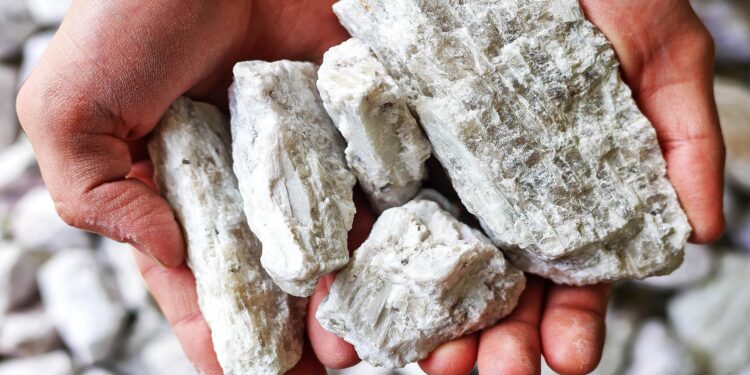 Game-Changer: Huge Lithium Discovery in Southeastern US Could Revolutionize Energy Independence!