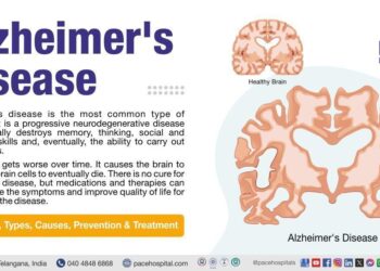 Embracing Unity in Diversity: Highlights from the ADI Caribbean and Latin American Members Meeting in Puerto Rico