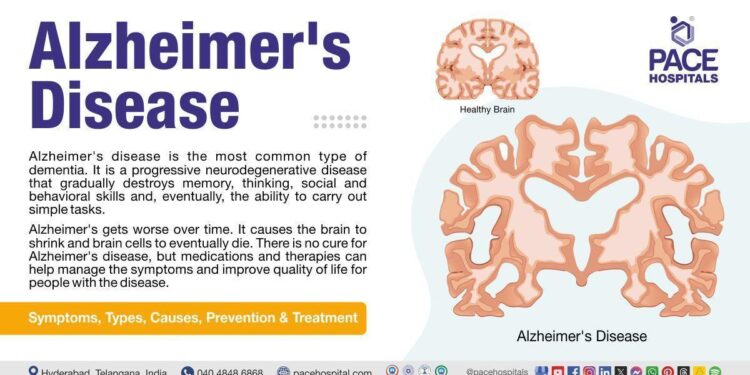 Embracing Unity in Diversity: Highlights from the ADI Caribbean and Latin American Members Meeting in Puerto Rico