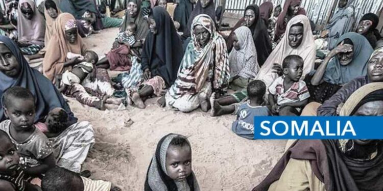 Unveiling the Humanitarian Crisis: A Deep Dive into Central America’s Struggles in 2020