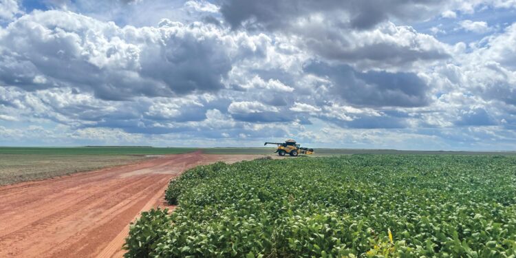 Exploring the Journey of Soy: From South America’s Roots to Its Promising Future