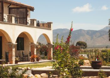 Discover Why This Valle de Guadalupe Restaurant is Crowned Mexico’s Best!