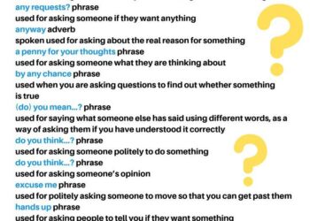 Guardians of the Caribbean: A Bold Vision for Bird Conservation