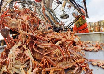 Alaska’s Seafood Industry Urges Action: Lawmakers Rally for Guest Worker Visa Exception!